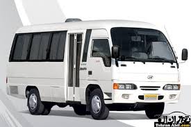 Specific Mini Bus with capacity of 17 passengers (Hyundai)